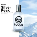 Silver Peak  – Inspirada en Silver Mountain Water de Creed