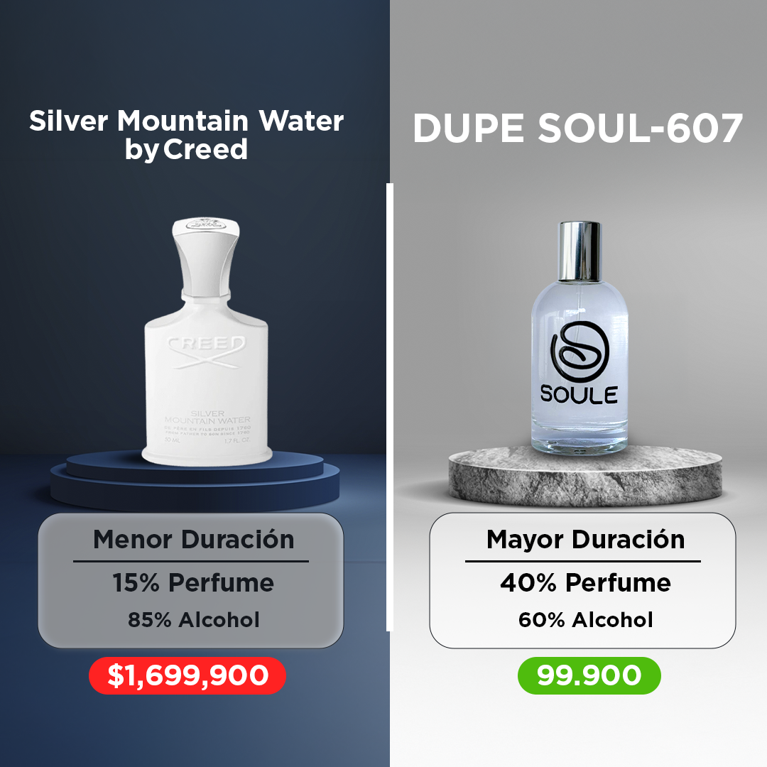 Silver Mountain Water c 50ml